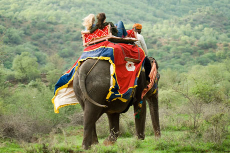 india elephant safari
